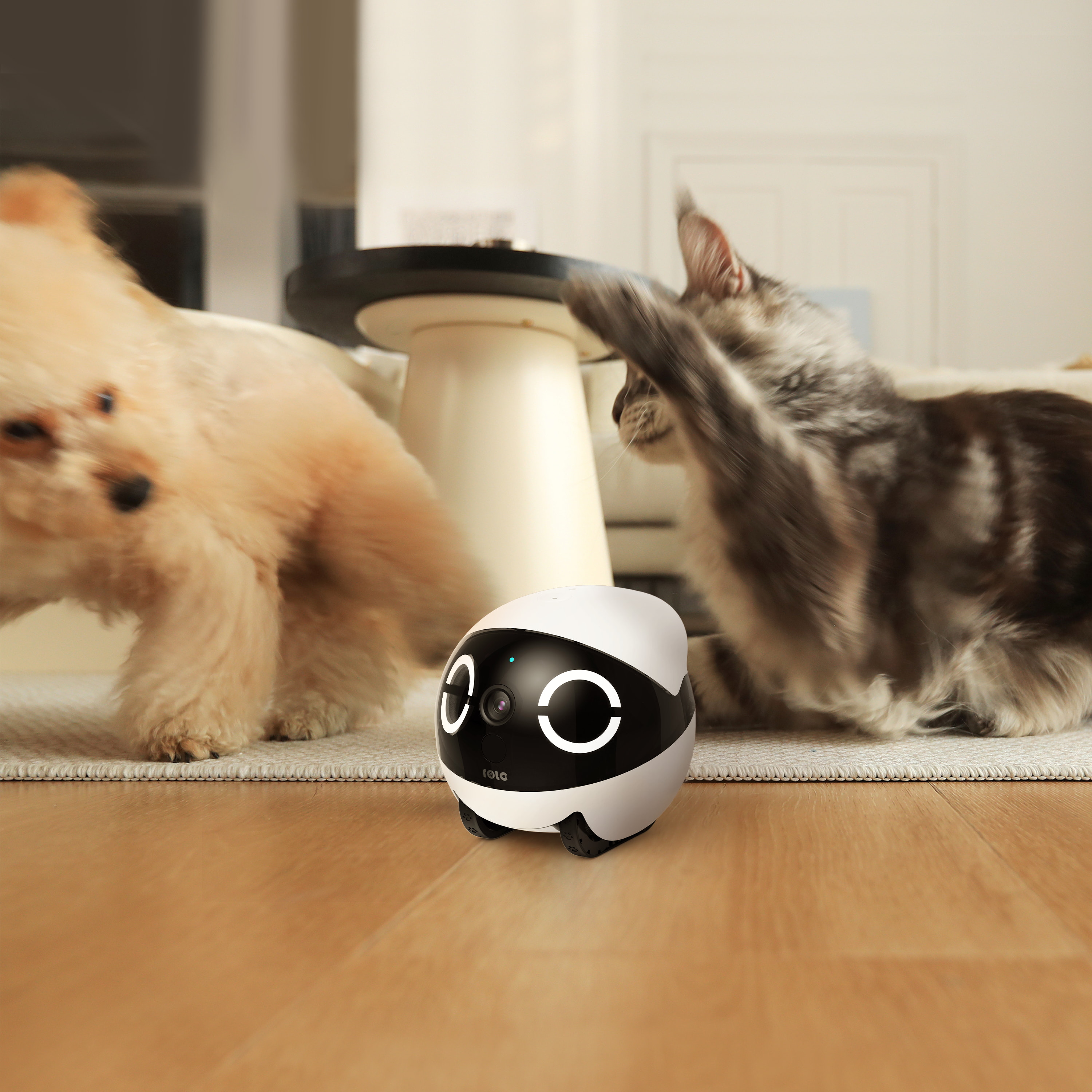 ROLA Mini Significant Other Ro - Home Security Cameras incelemesi ve fiyatı