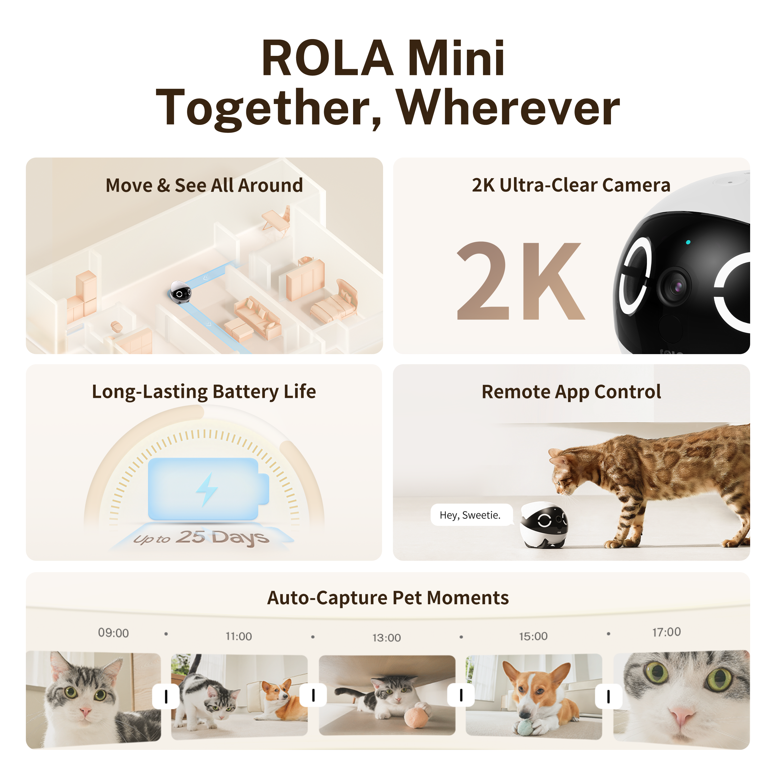 ROLA Mini Significant Other Ro - Home Security Cameras incelemesi ve fiyatı